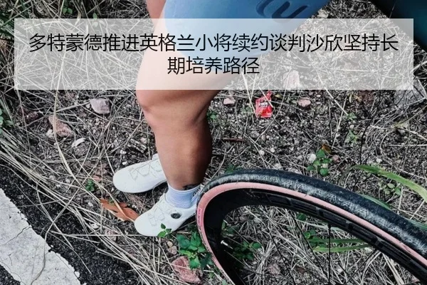 多特蒙德推进英格兰小将续约谈判沙欣坚持长期培养路径